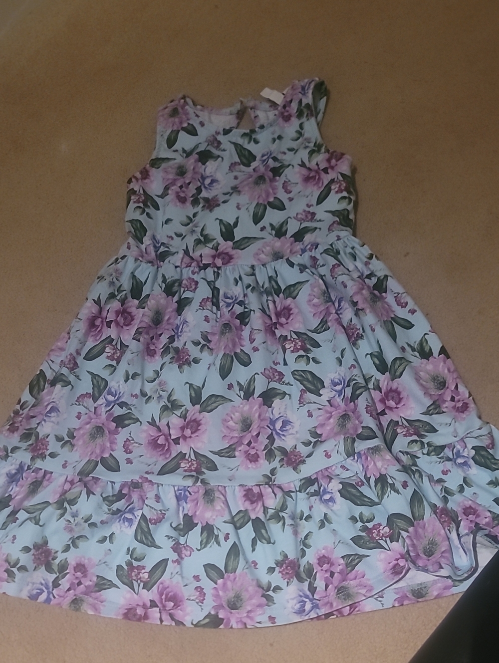 Janie and Jack Light Blue Floral Sleeveless Dress with Pink Flowers